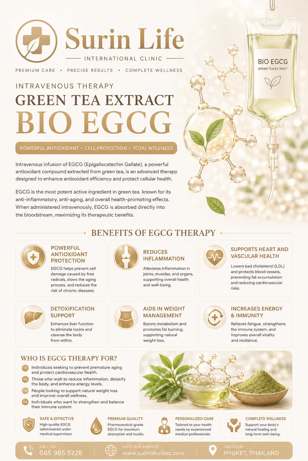 Bio EGCG booster poster